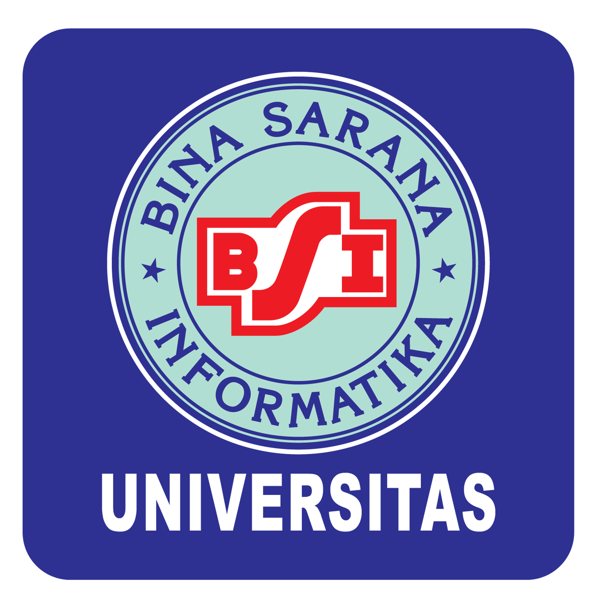 Universitas Bina Sarana Informatika